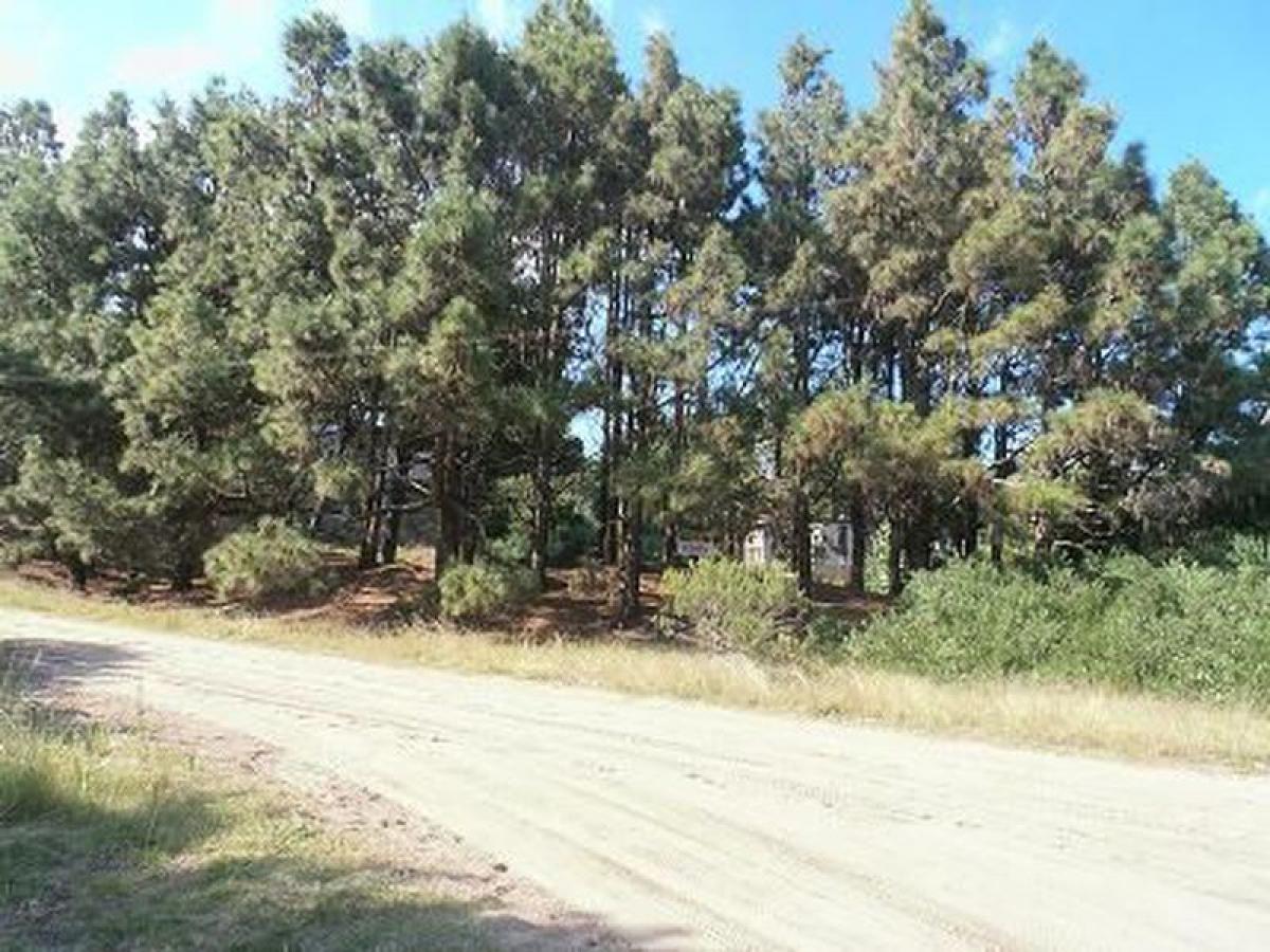  Land in Mar del Plata, Argentina No. 112956