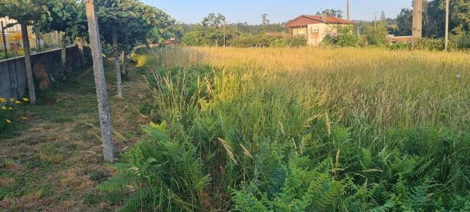 1617m² Land in Escariz, Portugal No. 203338