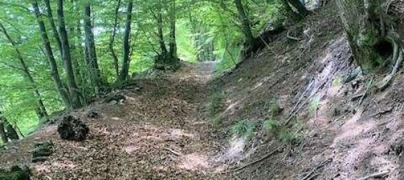 Casa de 6 divisões em Alta Valle Intelvi, Italy N.º 159195 7