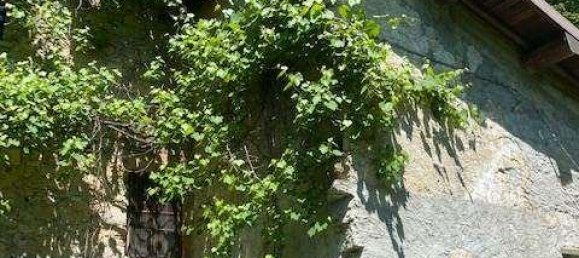 Casa de 6 divisões em Alta Valle Intelvi, Italy N.º 159195 20