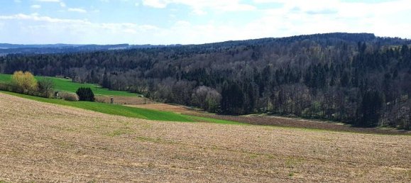 5غرفة منزل في Eggersdorf bei Graz, Austria رقم 183855 12