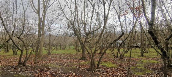 Terreno en Summonte, Italy 4211 m² No. 309150 5