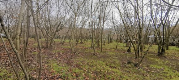 Terreno en Summonte, Italy 4211 m² No. 309150 8