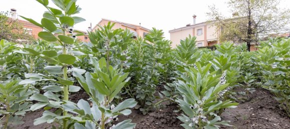 714m² Land in Cajar, Spain No. 153373 10