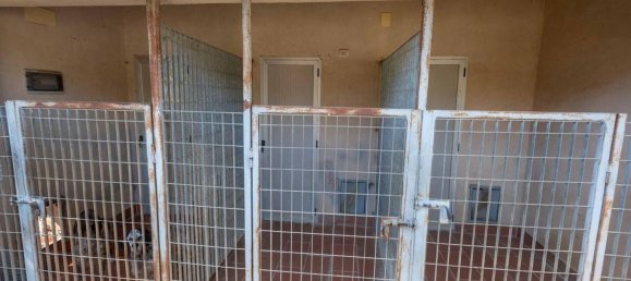 12 rooms House in Cetona, Italy No. 57858 46