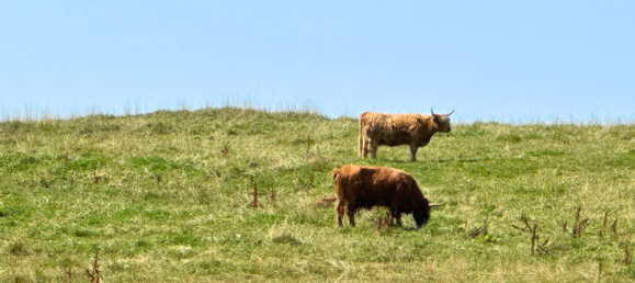 Apartamento T2 em Reutlingen, Germany N.º 271521 25