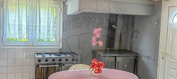 3 bedrooms House in Ribeira de Pena, Portugal No. 20556 6