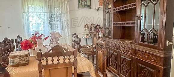 3 bedrooms House in Ribeira de Pena, Portugal No. 20556 13