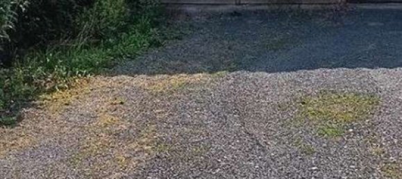 2 bedrooms Townhouse in Mittelsachsen, Germany No. 266731 6