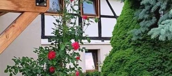 2 bedrooms Townhouse in Mittelsachsen, Germany No. 266731 2