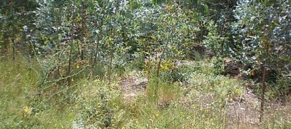 Terrain à Infias, Portugal 2500m² No. 35012 2