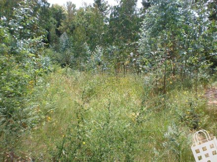 Terrain à Infias, Portugal 2500m² No. 35012