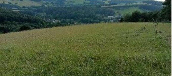  قطعة أرض في Neulengbach, Austria رقم 86879 2