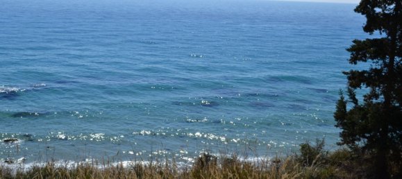 2 bedrooms Villa in Chalkidiki, Greece No. 1308 10