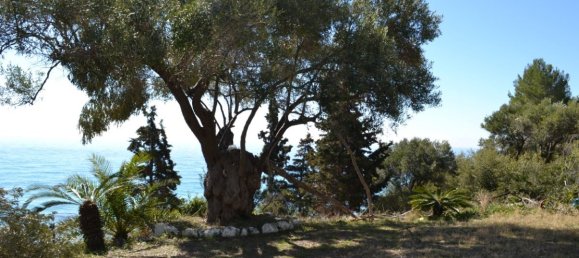 2 bedrooms Villa in Chalkidiki, Greece No. 1308 8