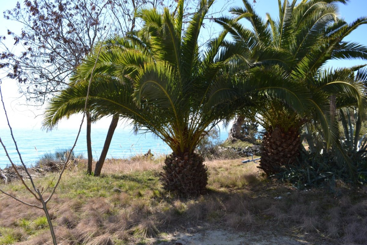 2 dormitorios villa en venta en Chalkidiki, Central Macedonia, Macedonia and Thrace, Greece № 1308