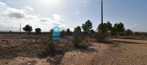 3 bedrooms House in Fuente Alamo, Spain No. 98538 48