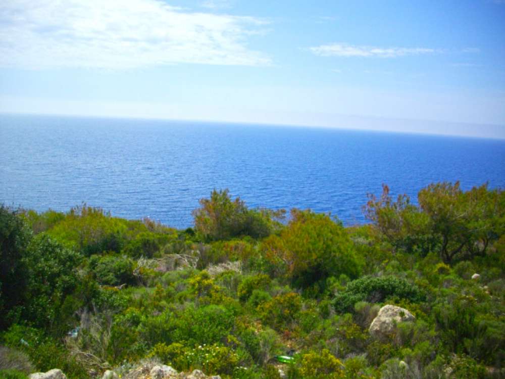  Land in Zakynthos, Greece No. 811