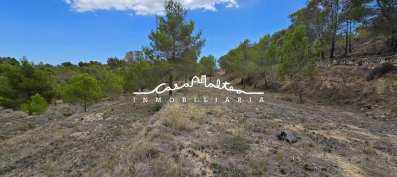 Terreno en La Nucia, Spain 16500 m² No. 42085 15