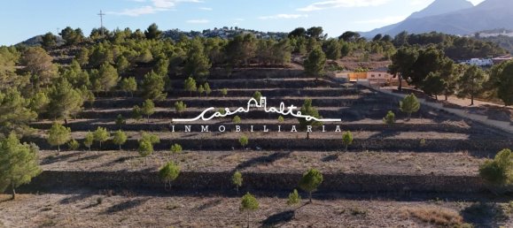 Terreno en La Nucia, Spain 16500 m² No. 42085 13