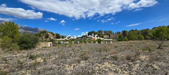 Terreno en La Nucia, Spain 16500 m² No. 42085 21