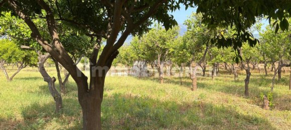 2 Schlafzimmer Villa in Giarre, Italy, Nr. 288822 25