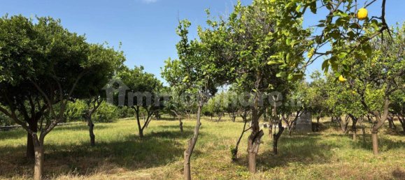 2 Schlafzimmer Villa in Giarre, Italy, Nr. 288822 15