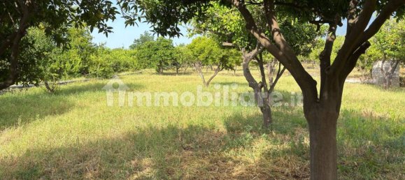 2 Schlafzimmer Villa in Giarre, Italy, Nr. 288822 17