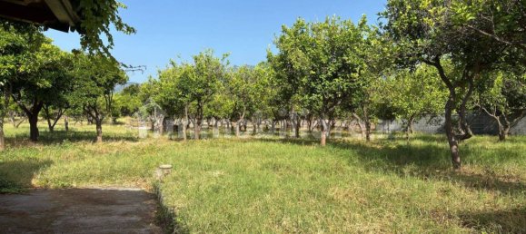 2 Schlafzimmer Villa in Giarre, Italy, Nr. 288822 6