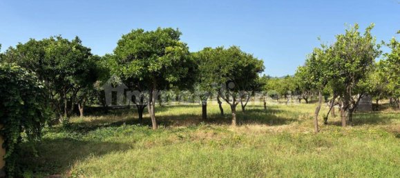 2 Schlafzimmer Villa in Giarre, Italy, Nr. 288822 11