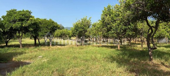 2 Schlafzimmer Villa in Giarre, Italy, Nr. 288822 7