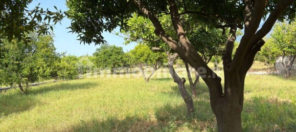 2 Schlafzimmer Villa in Giarre, Italy, Nr. 288822 18