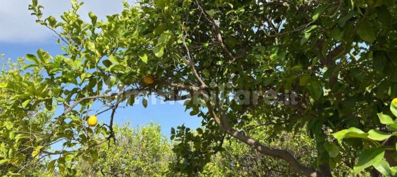 2 Schlafzimmer Villa in Giarre, Italy, Nr. 288822 14