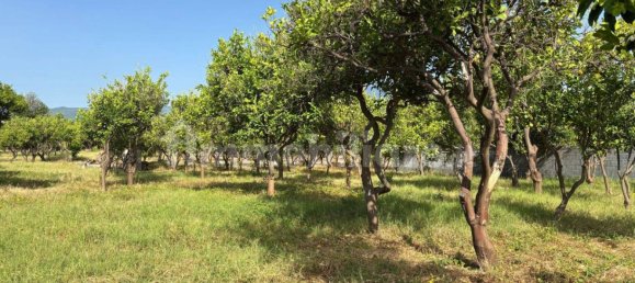 2 Schlafzimmer Villa in Giarre, Italy, Nr. 288822 8