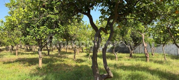 2 Schlafzimmer Villa in Giarre, Italy, Nr. 288822 13