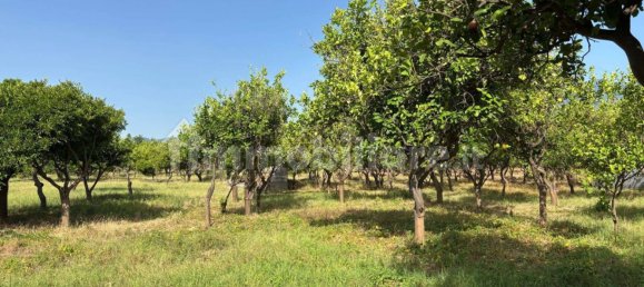 2 Schlafzimmer Villa in Giarre, Italy, Nr. 288822 12