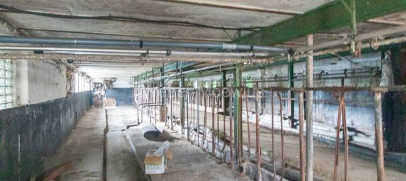 Дом с 6 спальнями в Рейн-Зиг, Германия № 151298 20