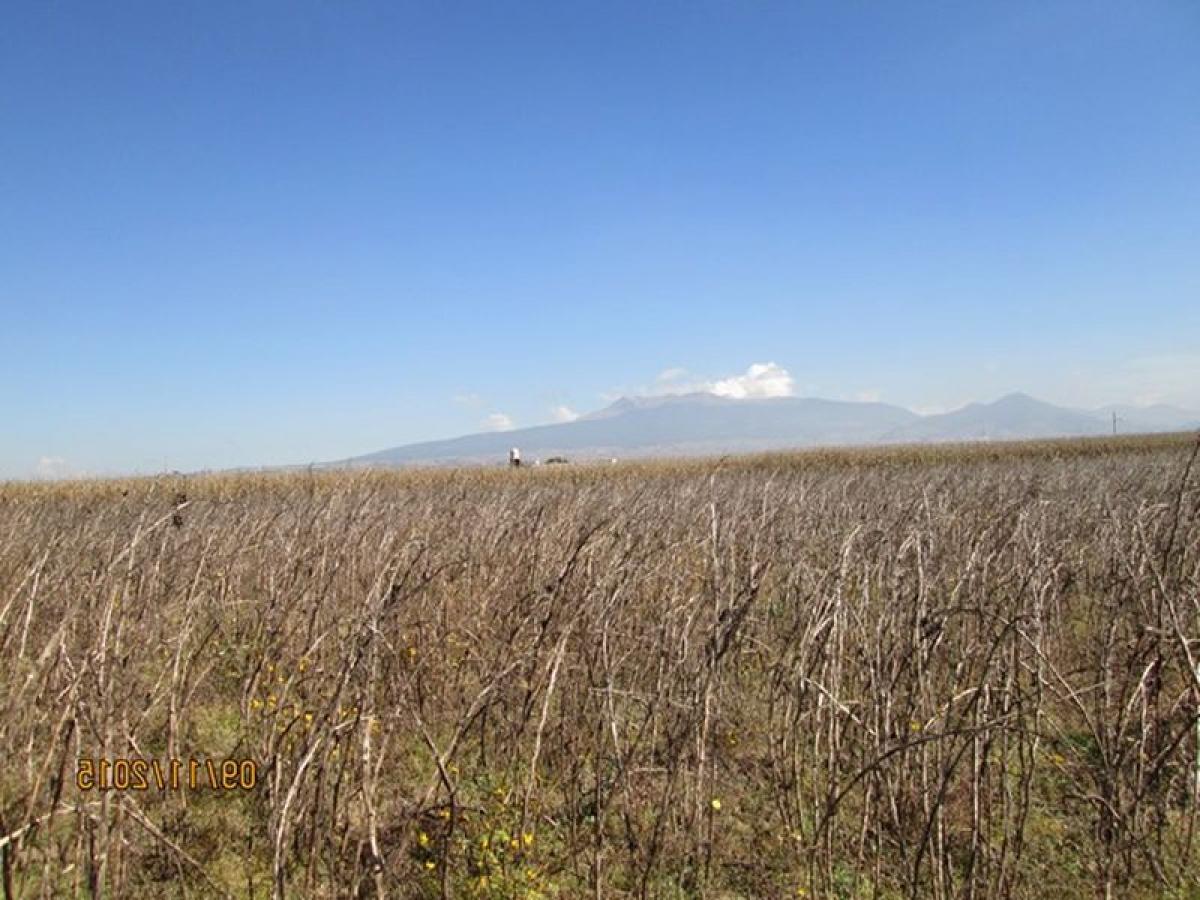 Terreno en San Buenaventura, Mexico No. 206857