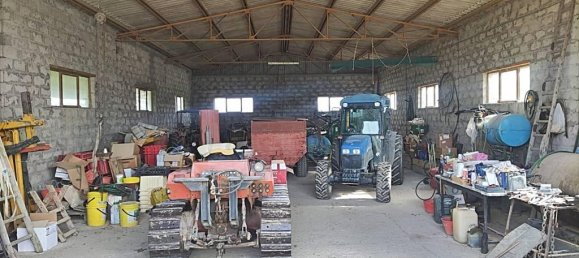 460000m² Land in Montecchio, Italy No. 119726 14