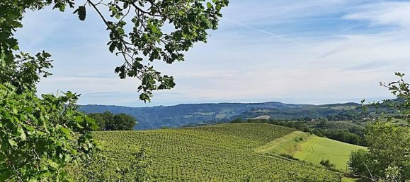 460000m² Land in Montecchio, Italy No. 119726 2