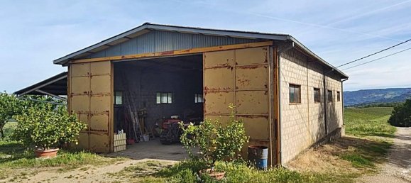 460000m² Land in Montecchio, Italy No. 119726 4