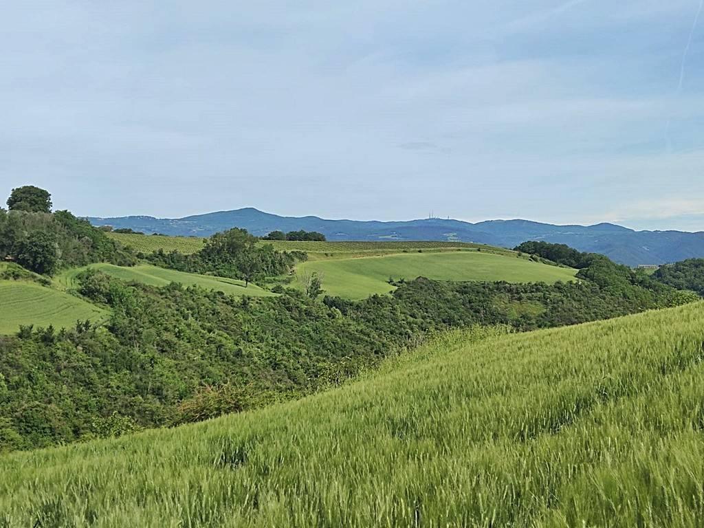 460000m² Land in Montecchio, Italy No. 119726