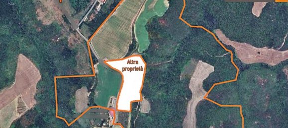 460000m² Land in Montecchio, Italy No. 119726 15