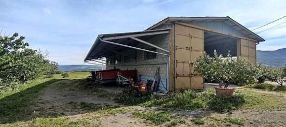 460000m² Land in Montecchio, Italy No. 119726 5