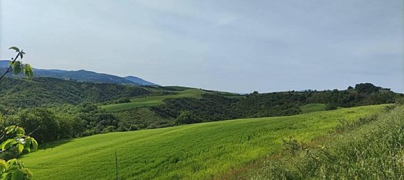 460000m² Land in Montecchio, Italy No. 119726 11