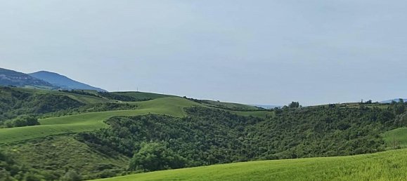 460000m² Land in Montecchio, Italy No. 119726 9