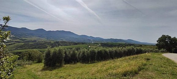 460000m² Land in Montecchio, Italy No. 119726 10