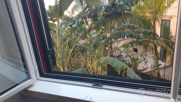 6 rooms Office in Camporeale, Italy No. 272148