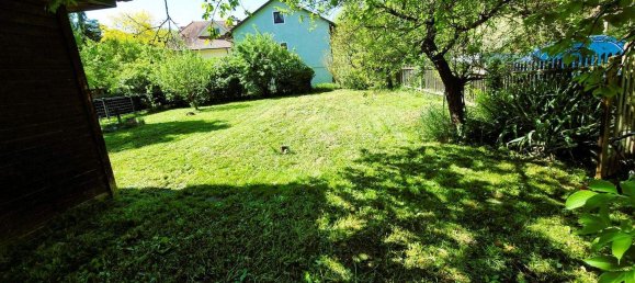 Land in Modling, Austria No. 251306 6