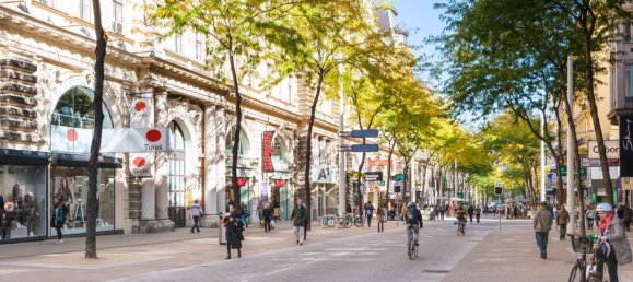 Коммерческая недвижимость 282м² в Нойбау, Австрия № 213160 12